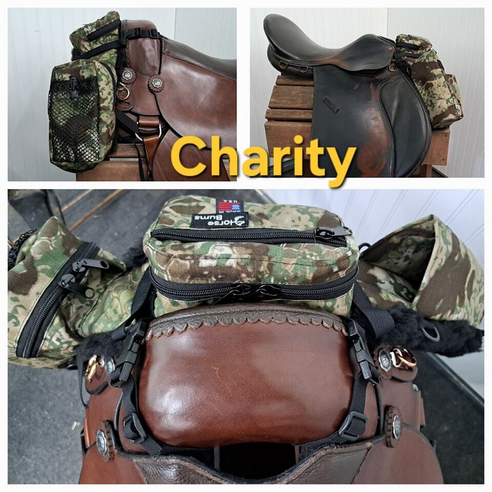 Saddlebags, saddle bag, horse, endurance, pommel bag, cantle bag