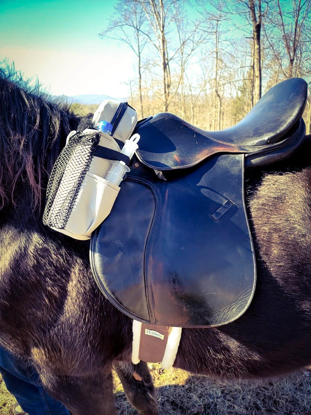 Saddlebags saddle bag horse endurance pommel bag cantle bag cantle horse bums pack horse My Site